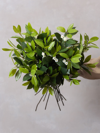 Iasomie Artificială [3]