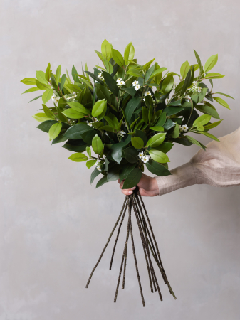 Iasomie Artificială [1]