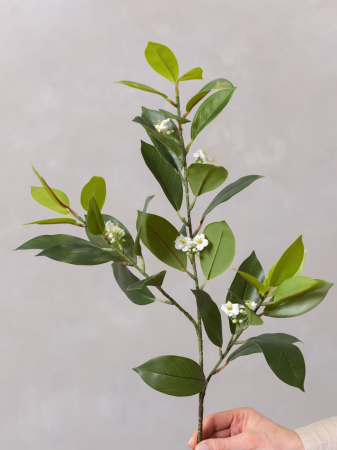 Iasomie Artificială [2]