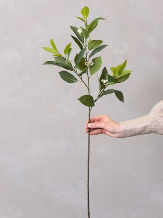 VERDEAȚĂ ARTIFICIALĂ - Iasomie Artificială