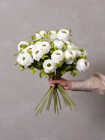 Ranunculus Artificial alb [1]