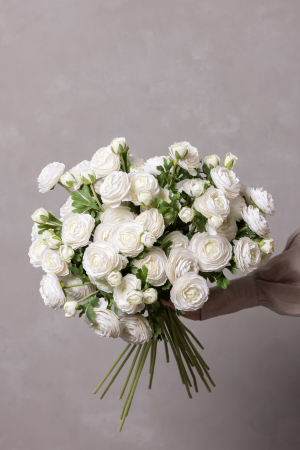 Ranunculus alb (3 flori) [6]