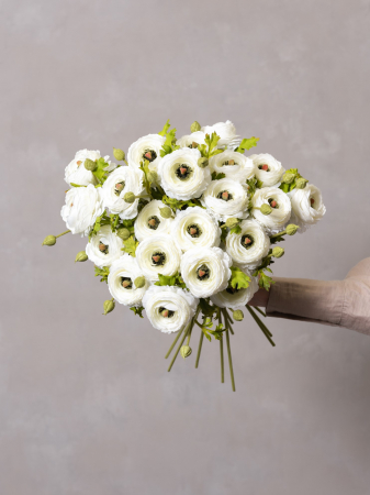 Ranunculus Artificial alb [2]