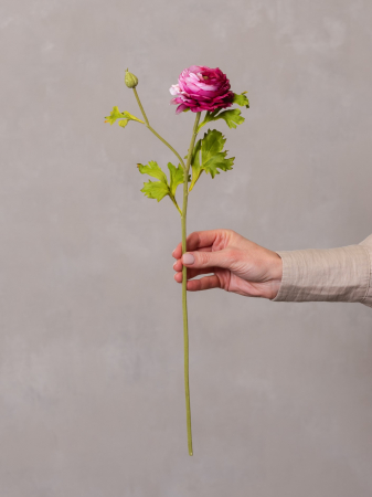 FLORI ARTIFICIALE - Ranunculus artificial burgundy
