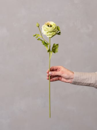 FLORI ARTIFICIALE - Ranunculus Artificial verde