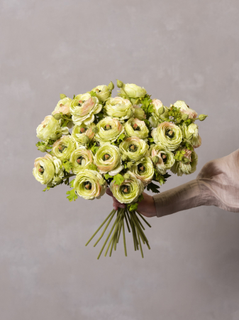 Ranunculus Artificial verde [2]