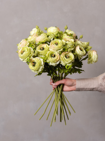 Ranunculus Artificial verde [1]