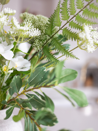 Pittosporum artificial [6]