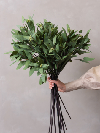 Seeded Eucalyptus Artificial [1]