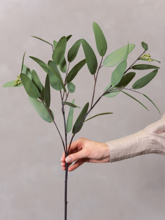 Seeded Eucalyptus Artificial [2]