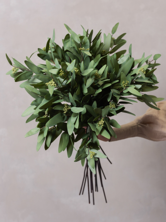 Seeded Eucalyptus Artificial [3]