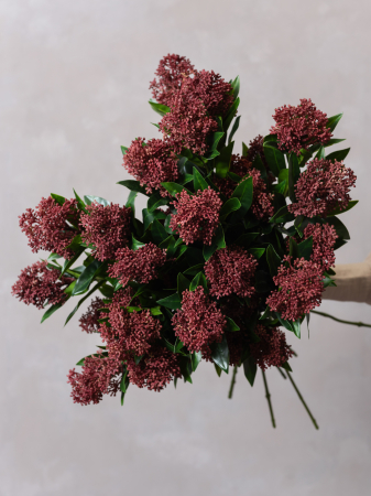 Skimmia Flower Artificială [3]