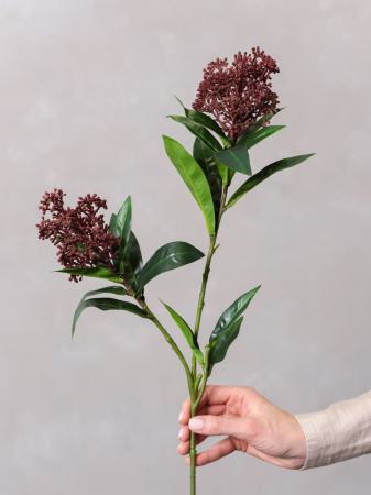 Skimmia Flower Artificială [2]