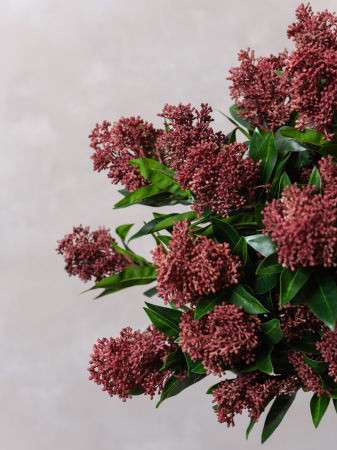 Skimmia Flower Artificială [4]