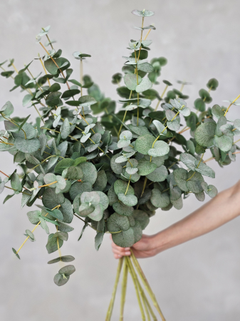 VERDEAȚĂ ARTIFICIALĂ - Soft Green Eucalyptus Artificial