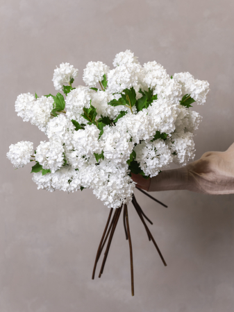 Viburnum Artificial alb ( 4 flori ) [3]