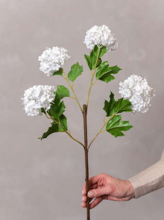 Viburnum Artificial alb ( 4 flori ) [2]