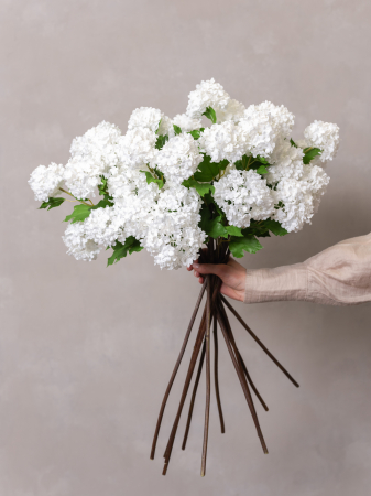 Viburnum Artificial alb ( 4 flori ) [1]