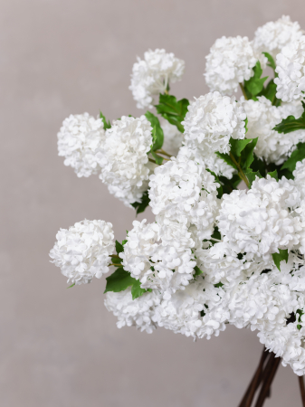 Viburnum Artificial alb ( 4 flori ) [4]
