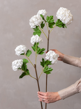 Viburnum Artificial alb ( 3 flori ) [8]