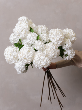 Viburnum Artificial alb ( 3 flori ) [3]