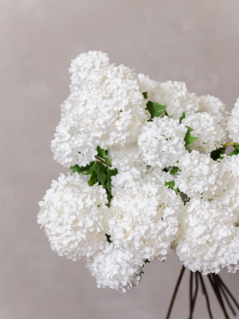 Viburnum Artificial alb ( 3 flori ) [4]