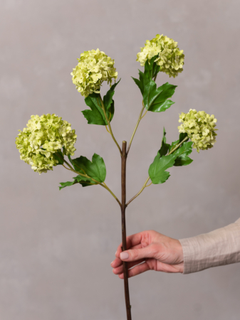 Viburnul Artficiail verde [2]