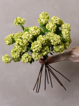 Viburnul Artficiail verde [3]