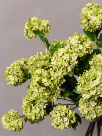 Viburnul Artficiail verde [4]