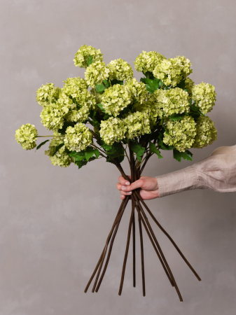 Viburnul Artficiail verde [1]