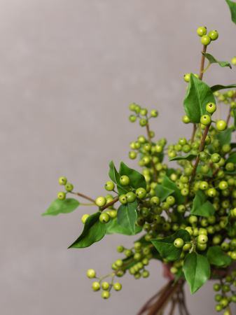 Green Berry Artificial [4]