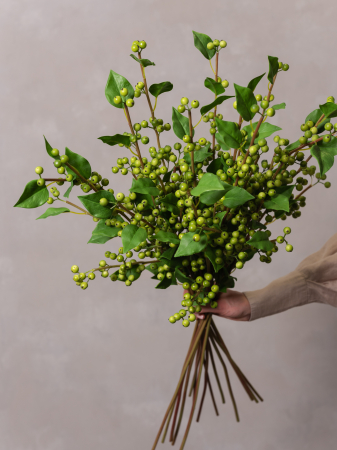 Green Berry Artificial [3]