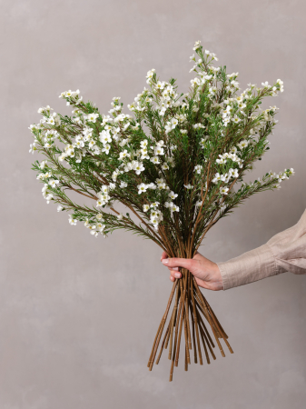 Wax Flower Artificial [1]