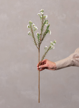 Wax Flower Artificial [2]