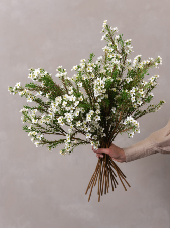 Wax Flower Artificial [3]