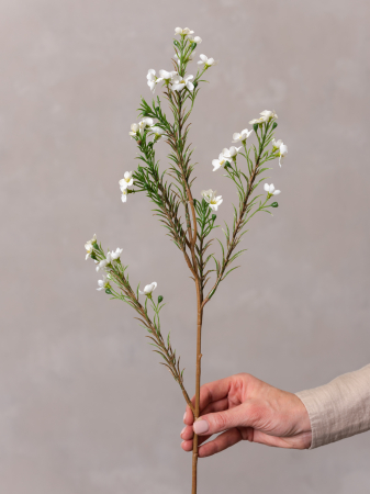 FLORI ARTIFICIALE - Wax Flower Artificial