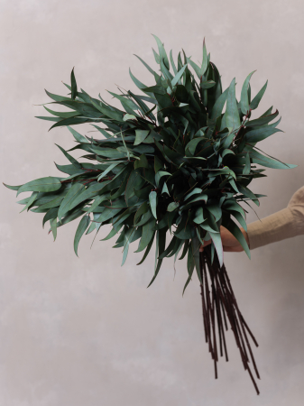 Willow Eucalyptus Artificial [2]