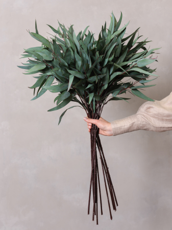 Willow Eucalyptus Artificial [1]