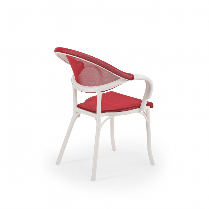 scaun [50]