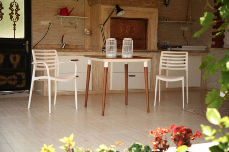 scaun [4]