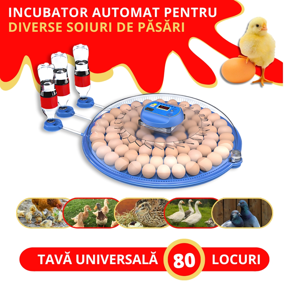 incubator automat 80 de oua de gaina