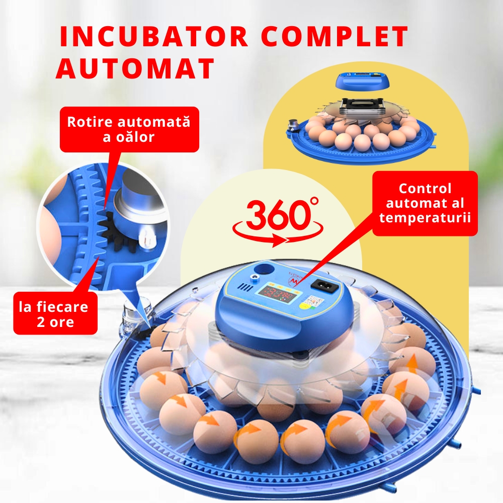 incubator automat oua