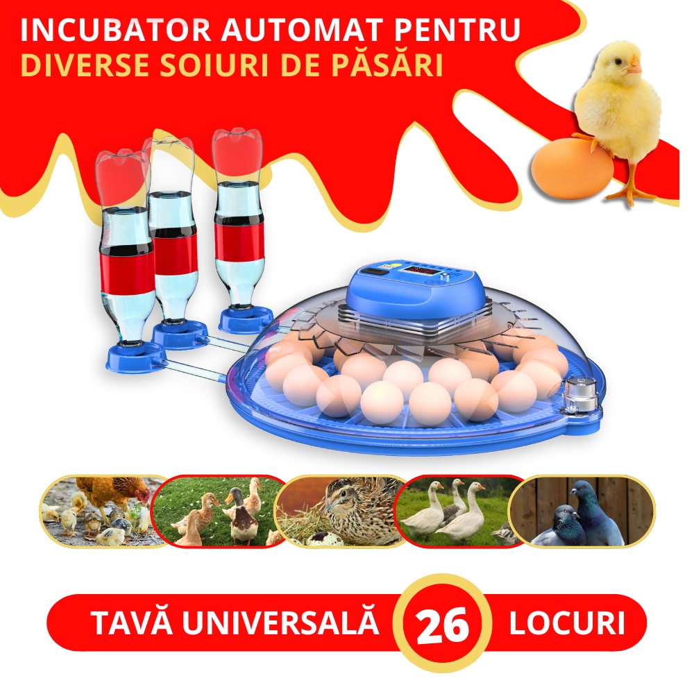 incubator pentru 26 oua de gaina