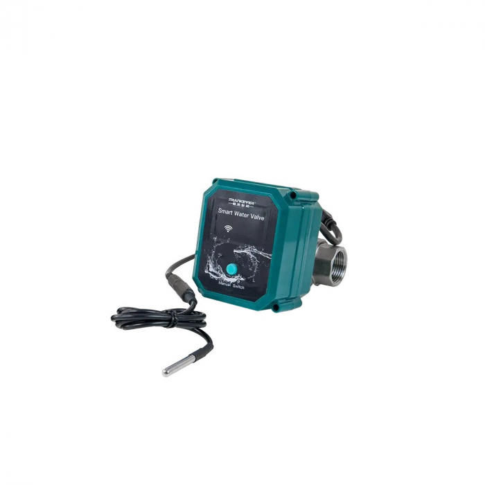 FrankEver Smart water valve DN25-Powered by ShellyX, Home Assistant [2]