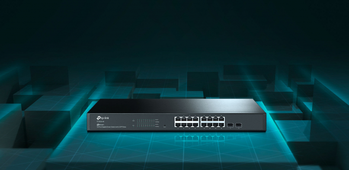 TL-SG2218 [4]