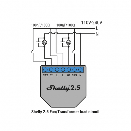Shelly RC [2]