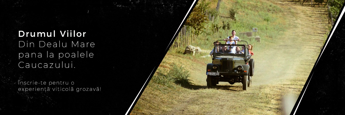 Excursii și evenimente