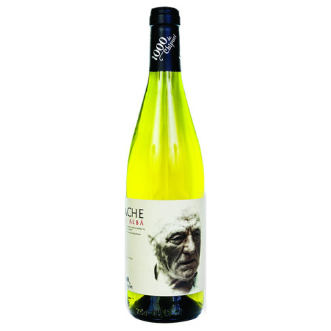 Wineshop - Iordache – 1000 de chipuri