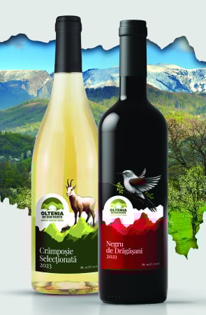 Wineshop - Oltenia de sub Munte duo pack