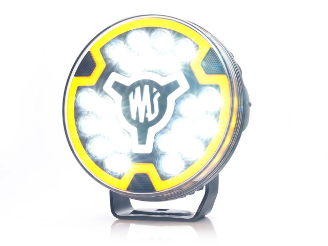 Proiector LED 12/24V [2]